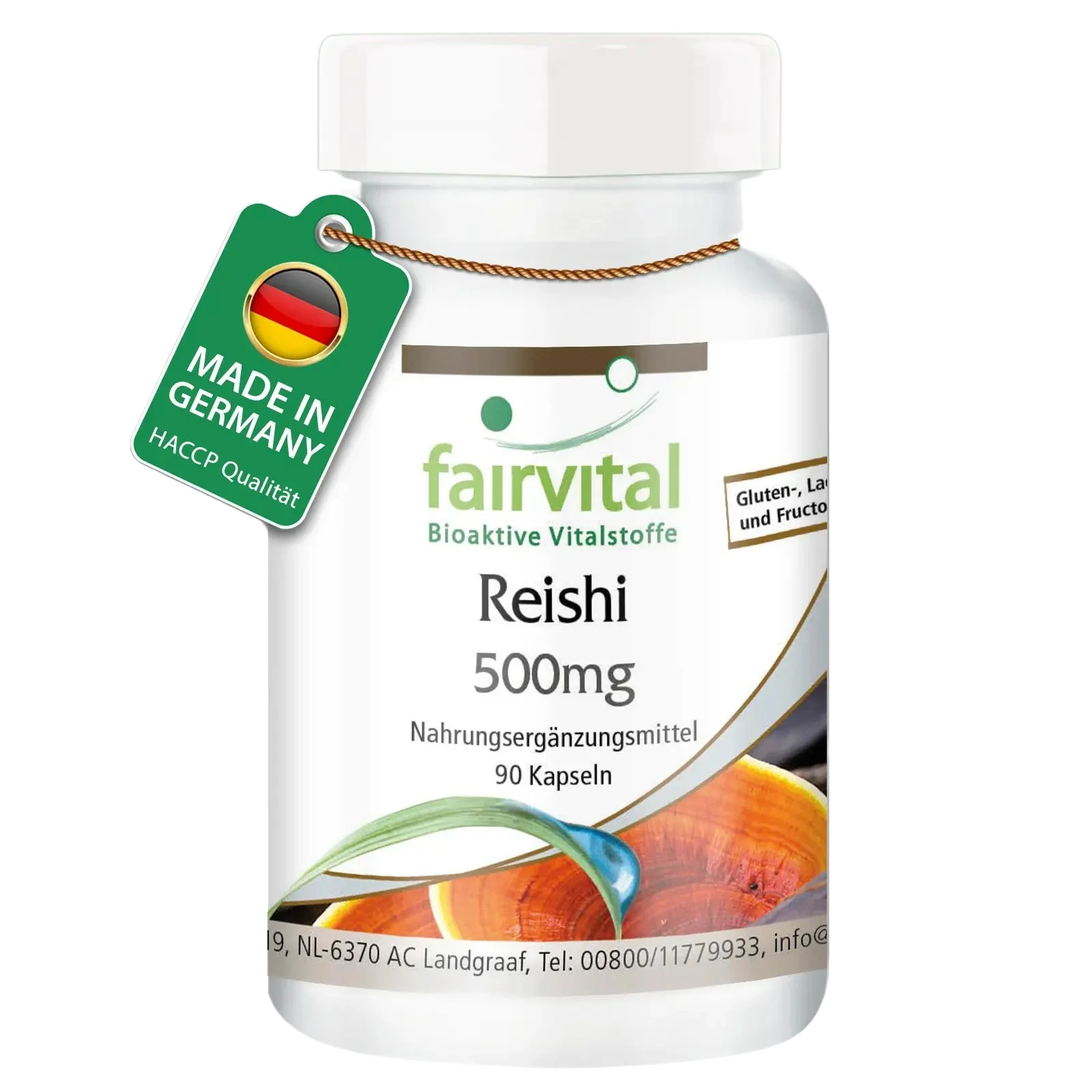 Reishi - 500mg - 90 capsules