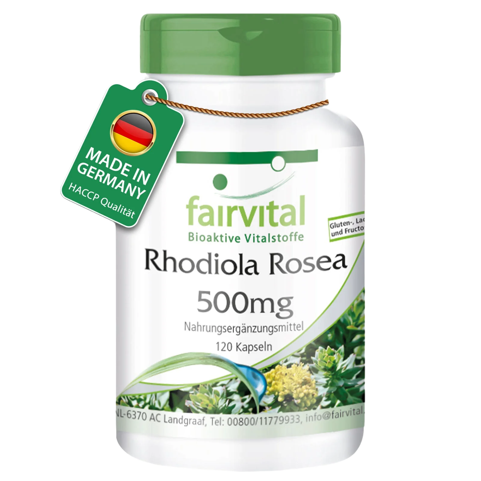 Rhodiola Rosea 500mg - 120 Capsules