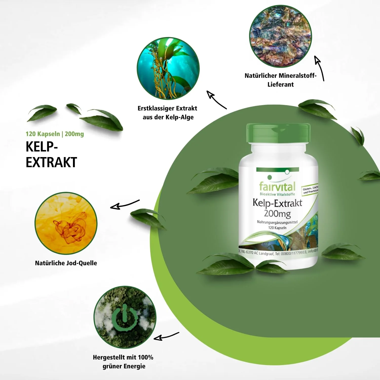 Estratto di Kelp 200mg - 120 capsule
