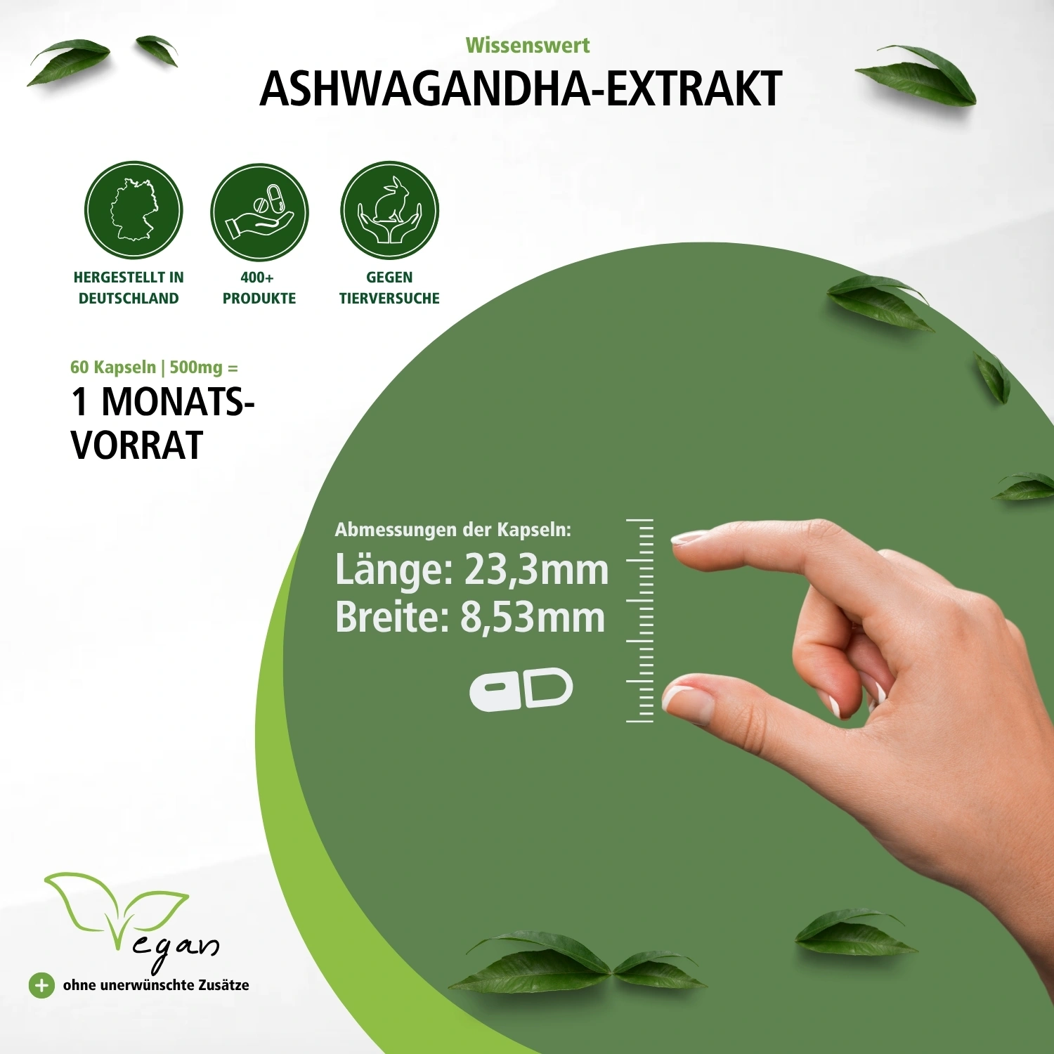 Ashwagandha-extract 500mg - 60 capsules