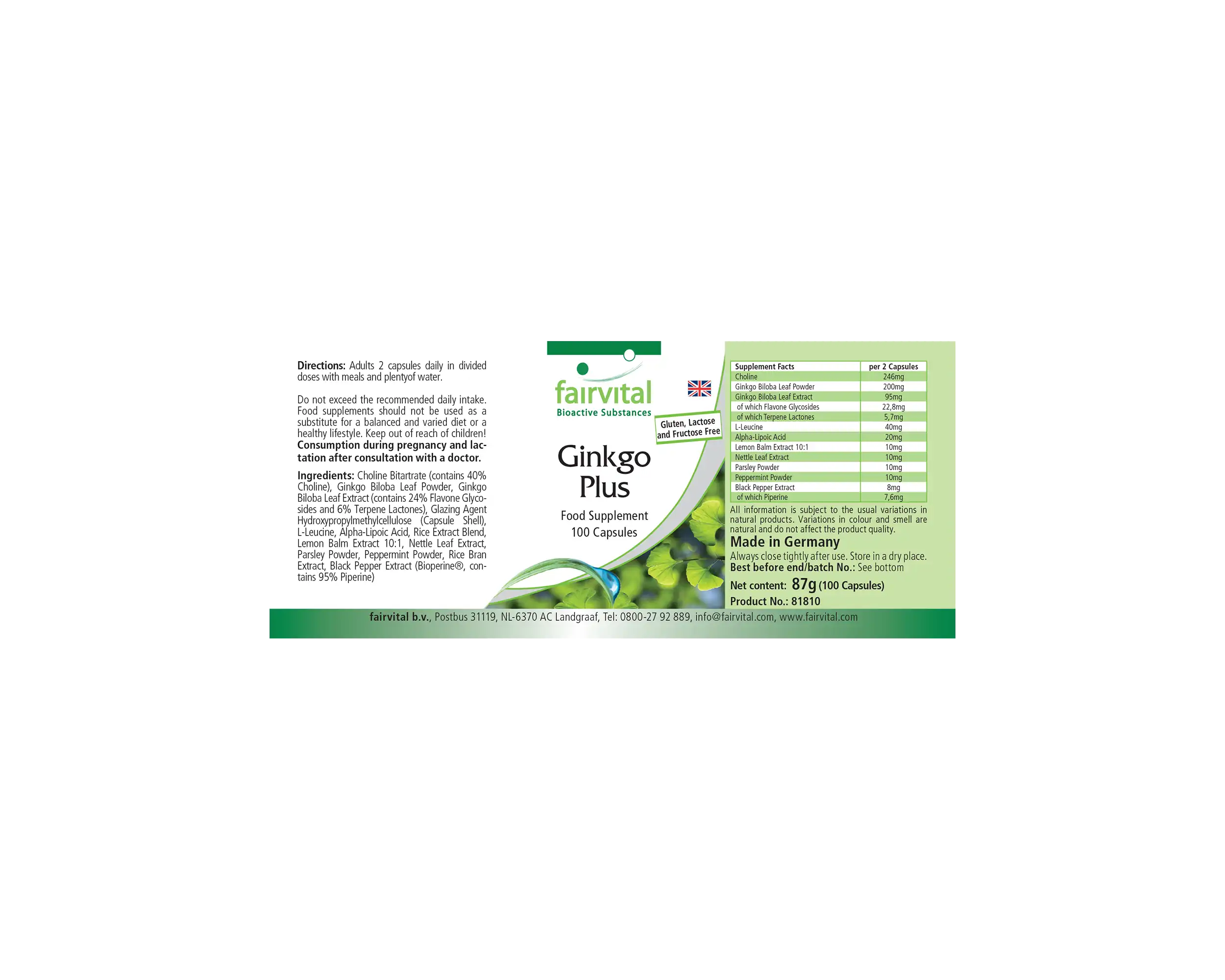 Ginkgo Plus - 100 Cápsulas