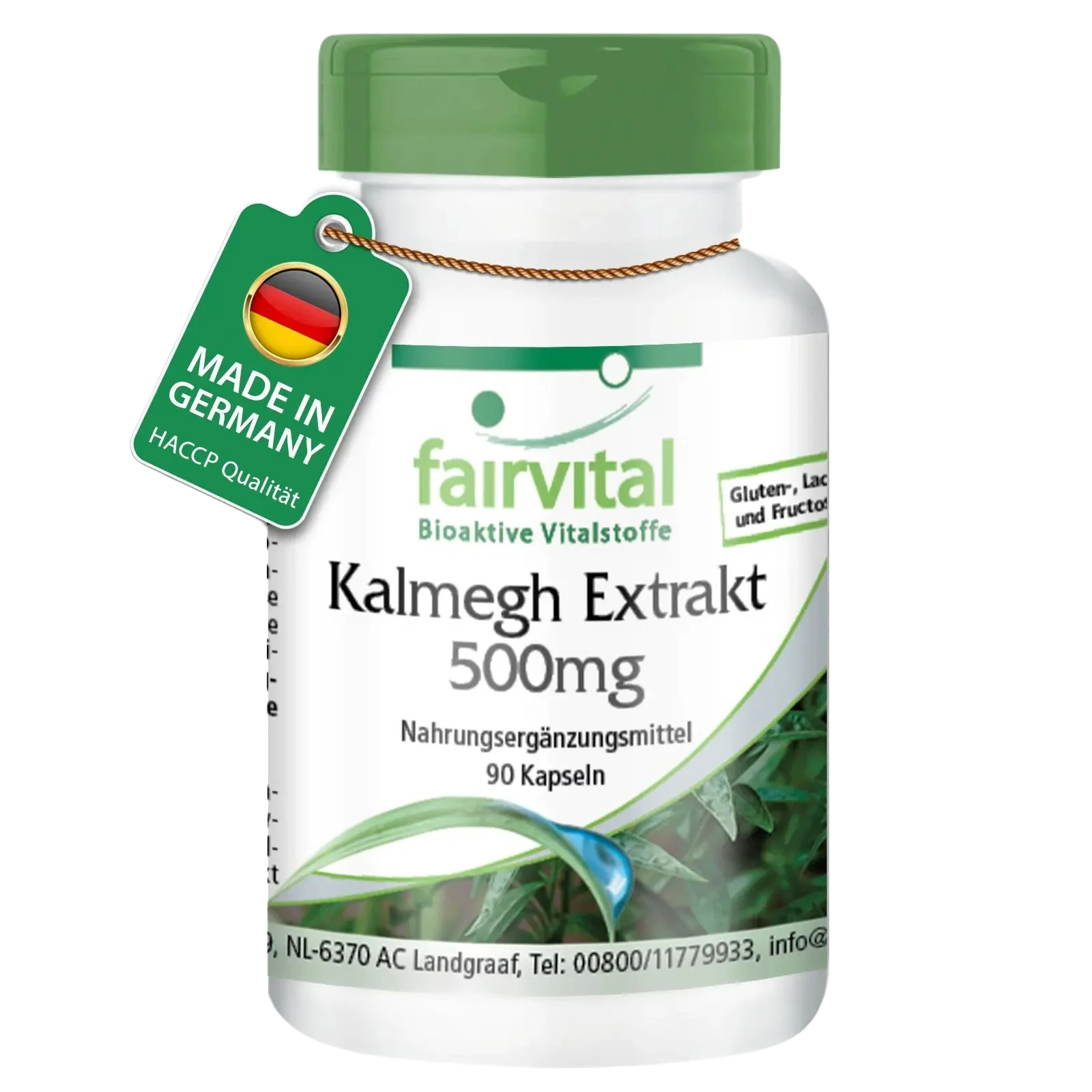 Kalmegh Extrakt 500mg - 90 Kapseln - 5-fach konzentriert - Hochdosiert und Vegan | Fairvital Kalmegh Extrakt 500mg - 90 Kapseln - 5-fach konzentriert - Hochdosiert und Vegan | Fairvital