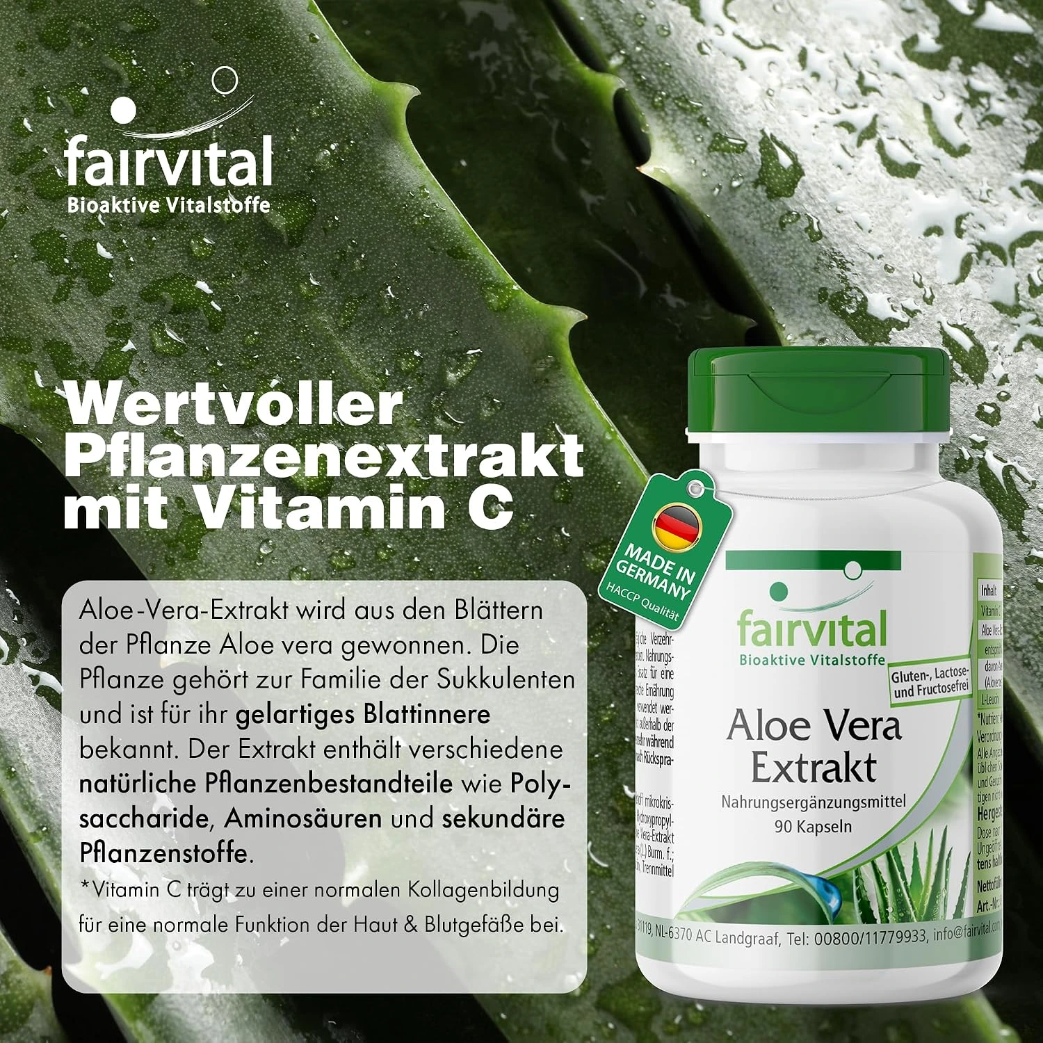 Aloë Vera Extract - 90 capsules