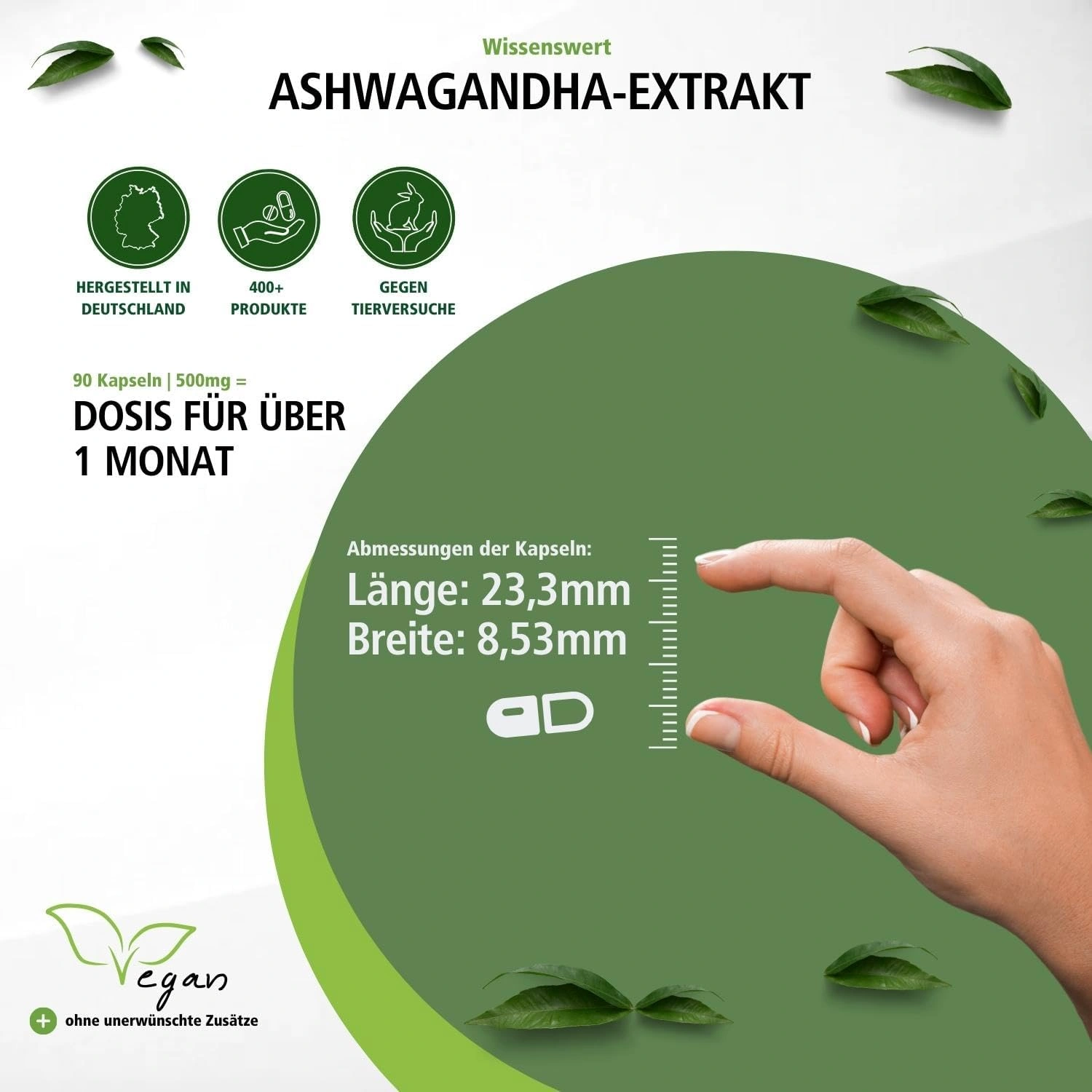 Ashwagandha-extract 500mg - 90 Capsules
