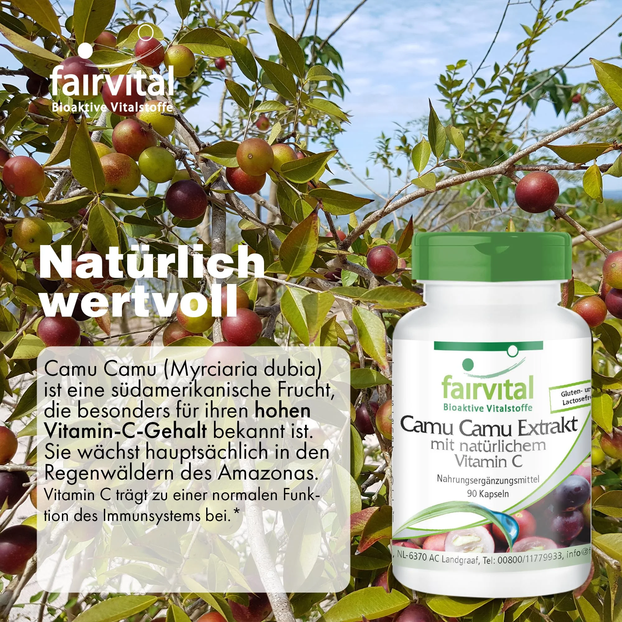 Camu Camu Extract - 90 Capsules