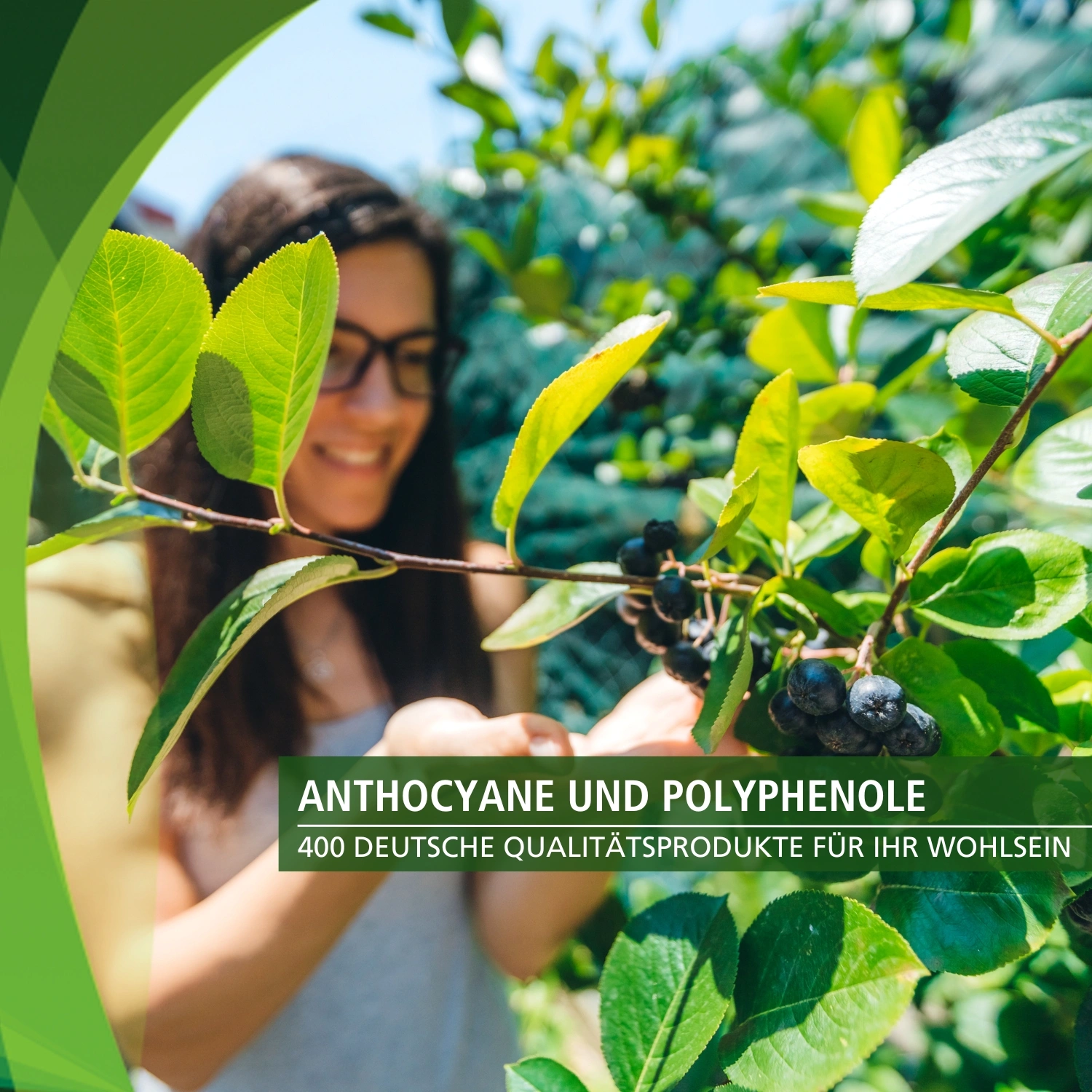 Aronia capsules met anthocyanen - 90 capsules