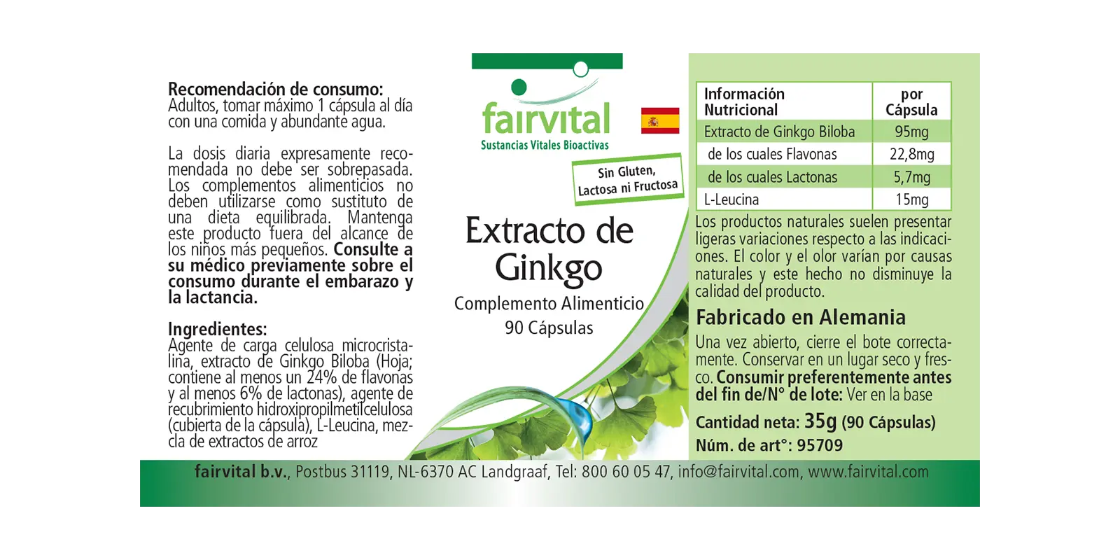 Ginkgo-extract 100mg - 90 capsules Ginkgo-extract 100mg - 90 capsules