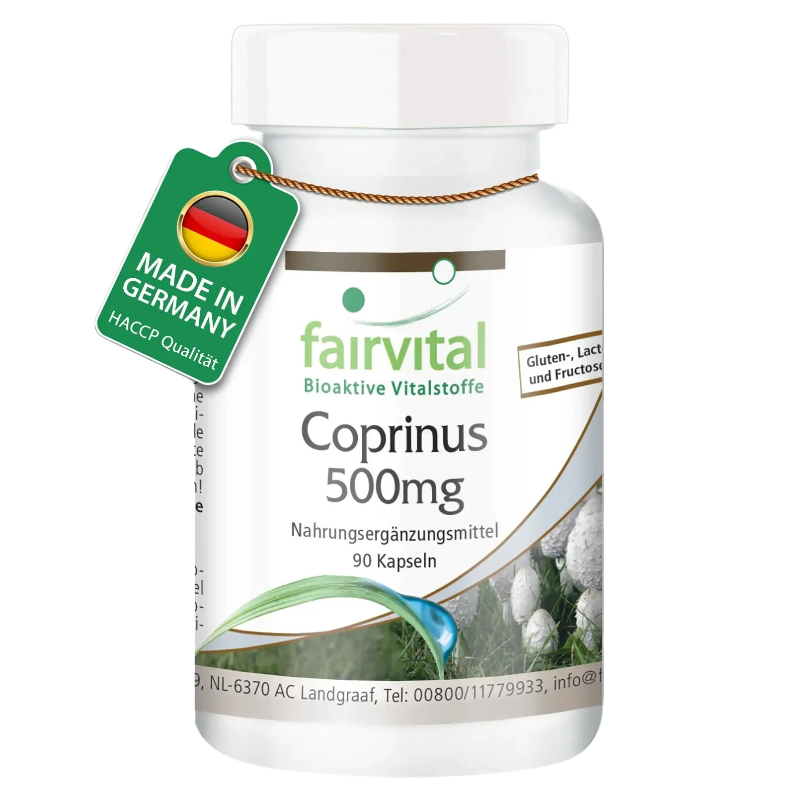 Coprinus 500mg - 90 capsule Coprinus 500mg - 90 capsule