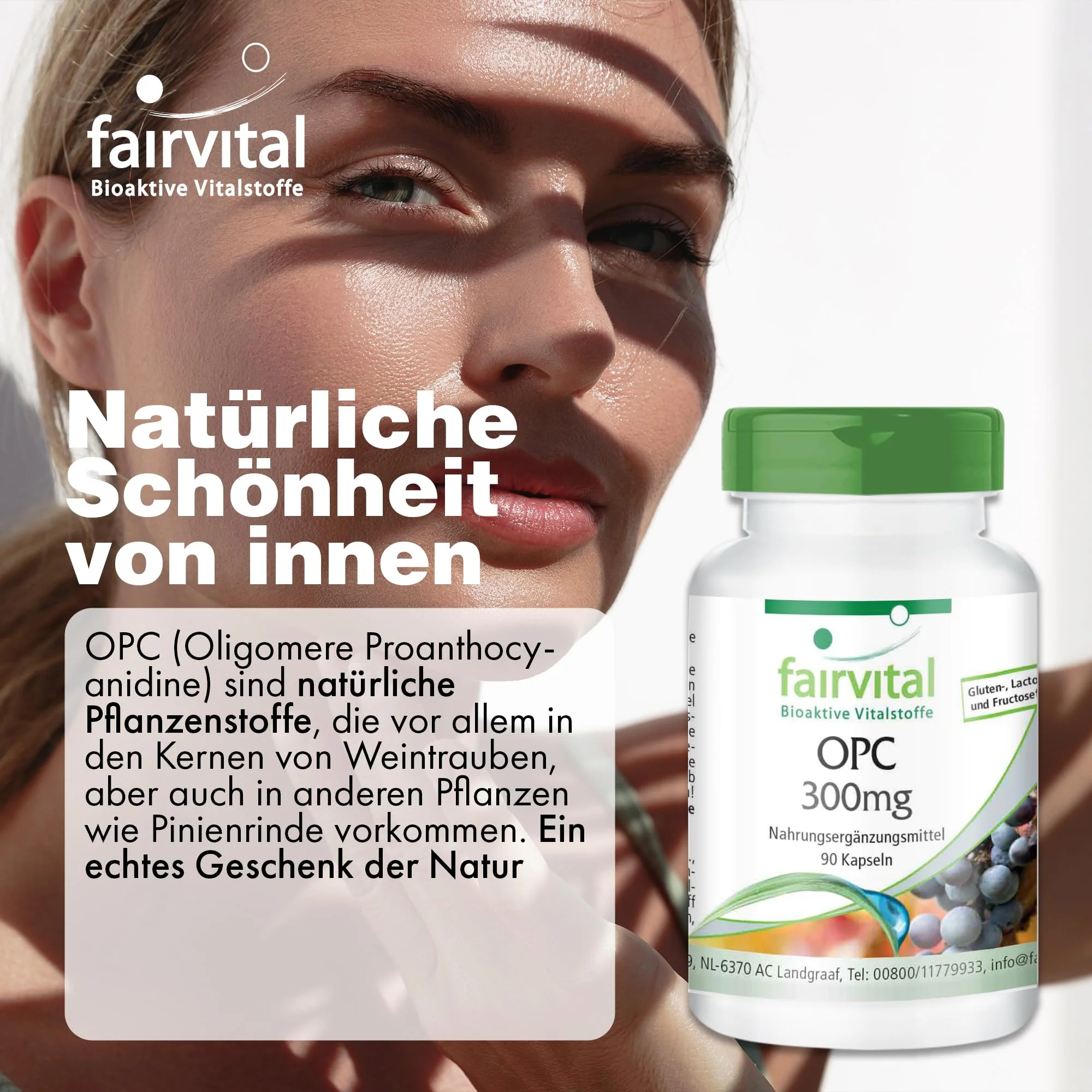 OPC 300mg – 90 Capsules