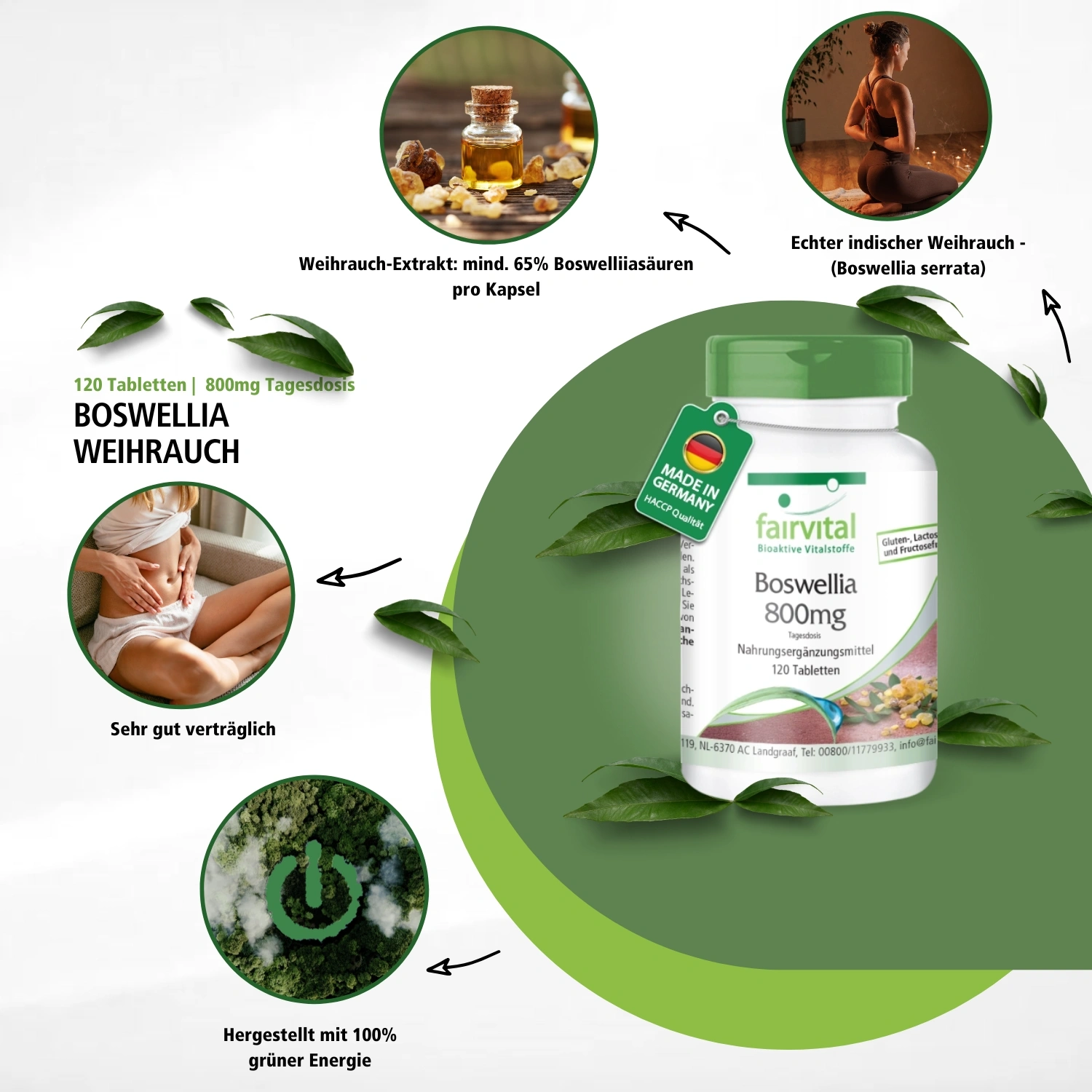 Boswellia 800mg daily dose – 120 tablets