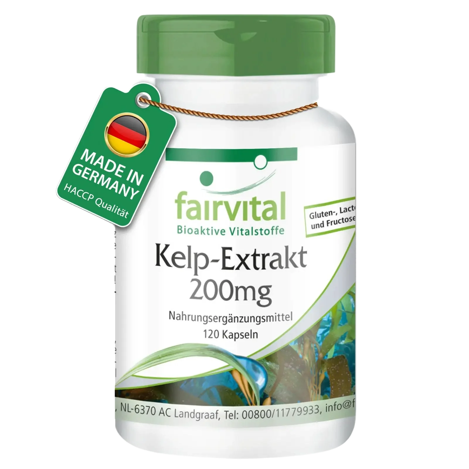 Kelp Extract 200mg - 120 Capsules