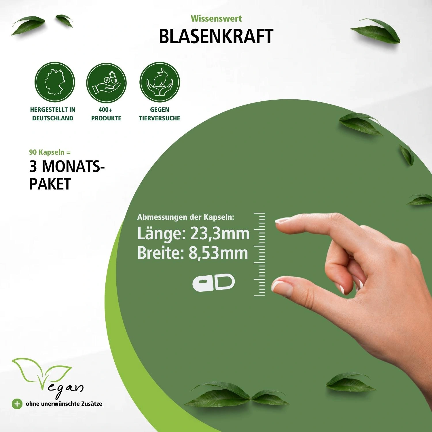 Bladder Formula - 90 capsules