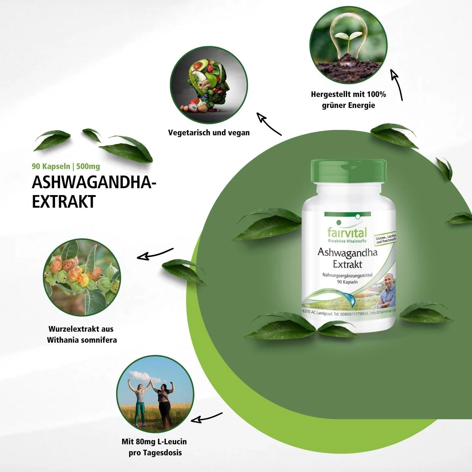 Ashwagandha-extract 500mg - 90 Capsules
