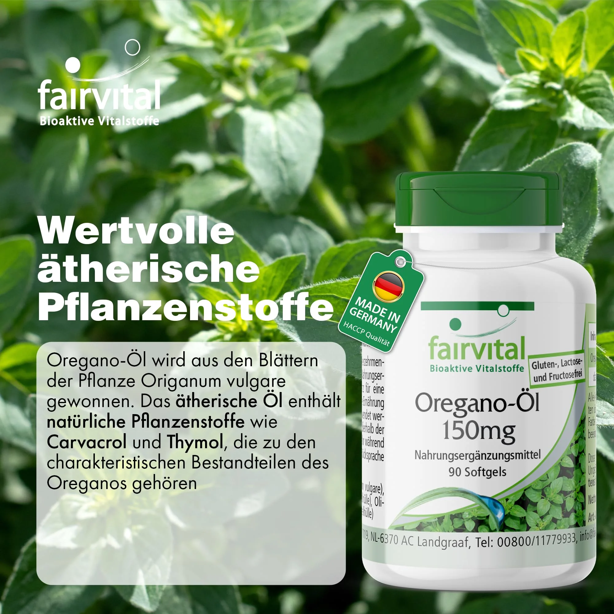 Oregano Oil 150mg - 90 Softgels