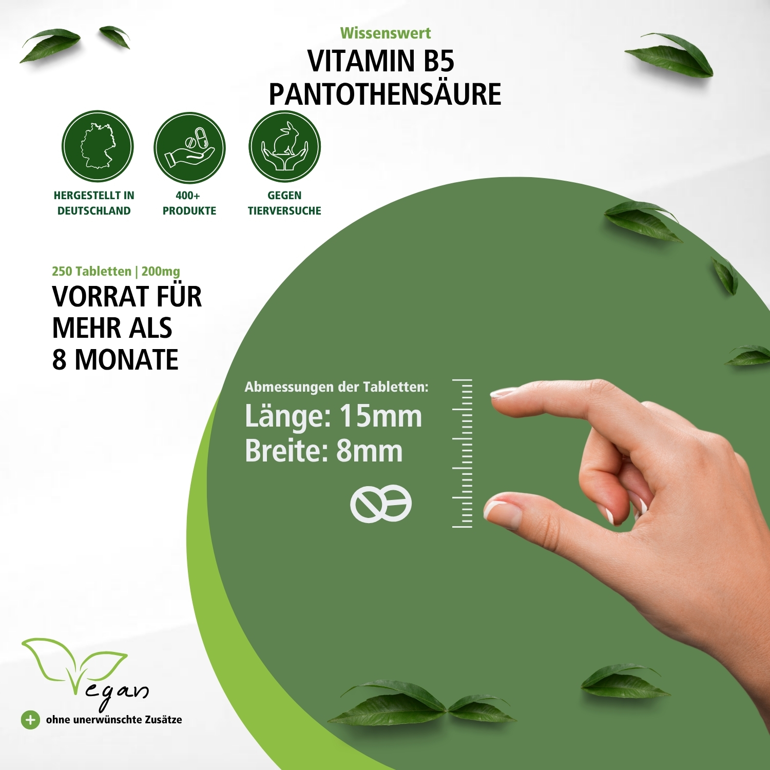 Vitamine B-5 pantotheenzuur 200mg - 250 tabletten