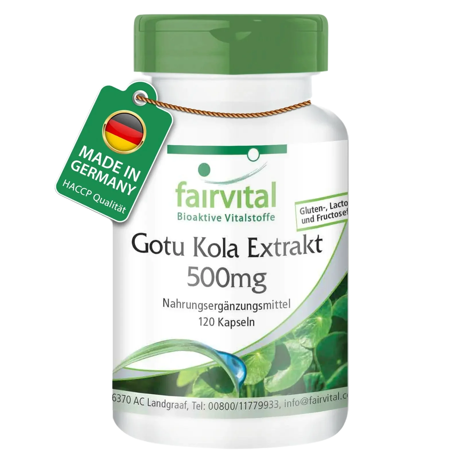 Gotu Kola extract 500mg - 120 Capsules