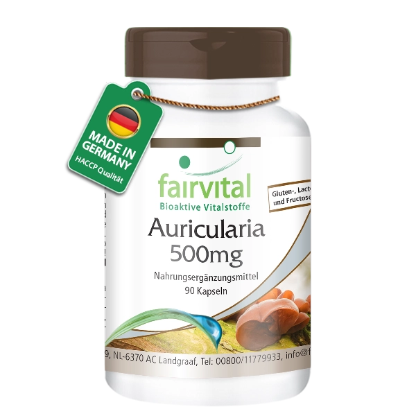 Auricularia 500 mg - 90 gels Auricularia 500 mg - 90 gels