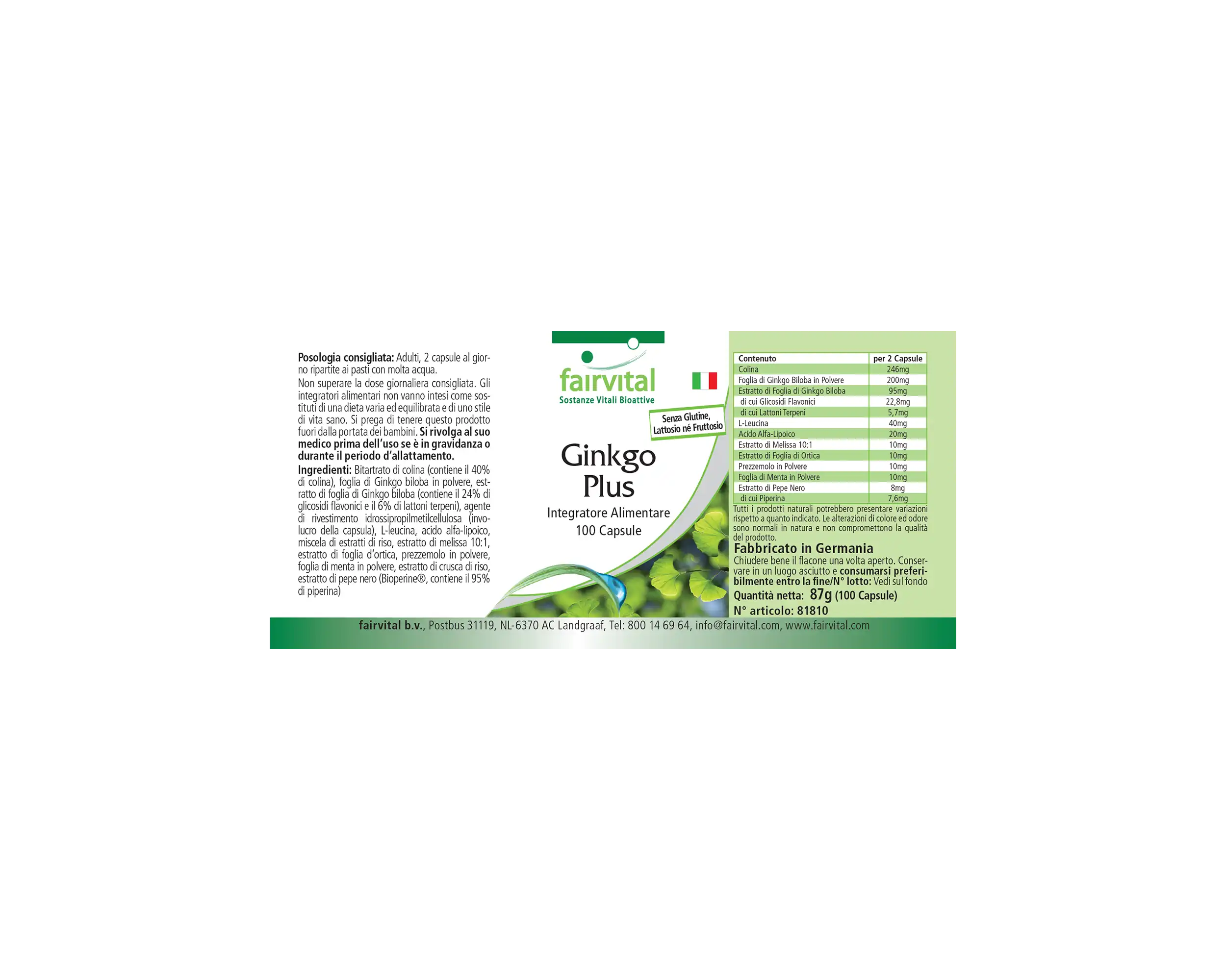 Ginkgo Plus - 100 Cápsulas