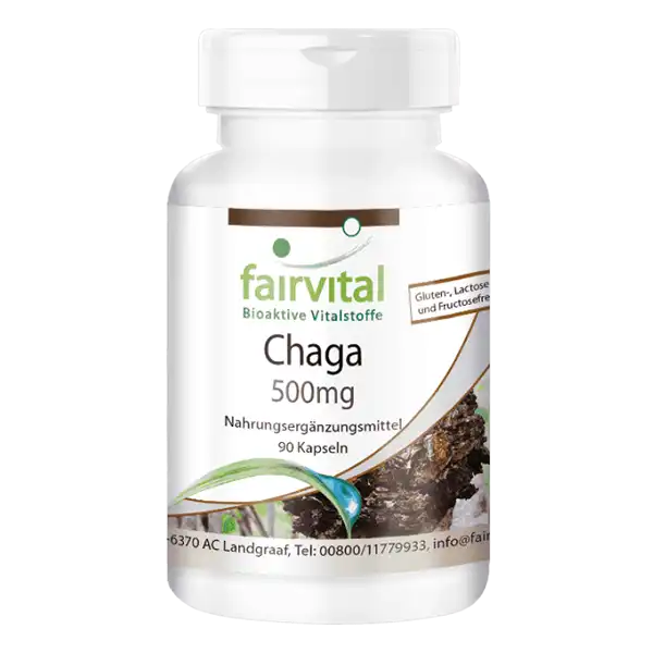 Chaga - Hongo medicinal 500mg - 90 Cápsulas