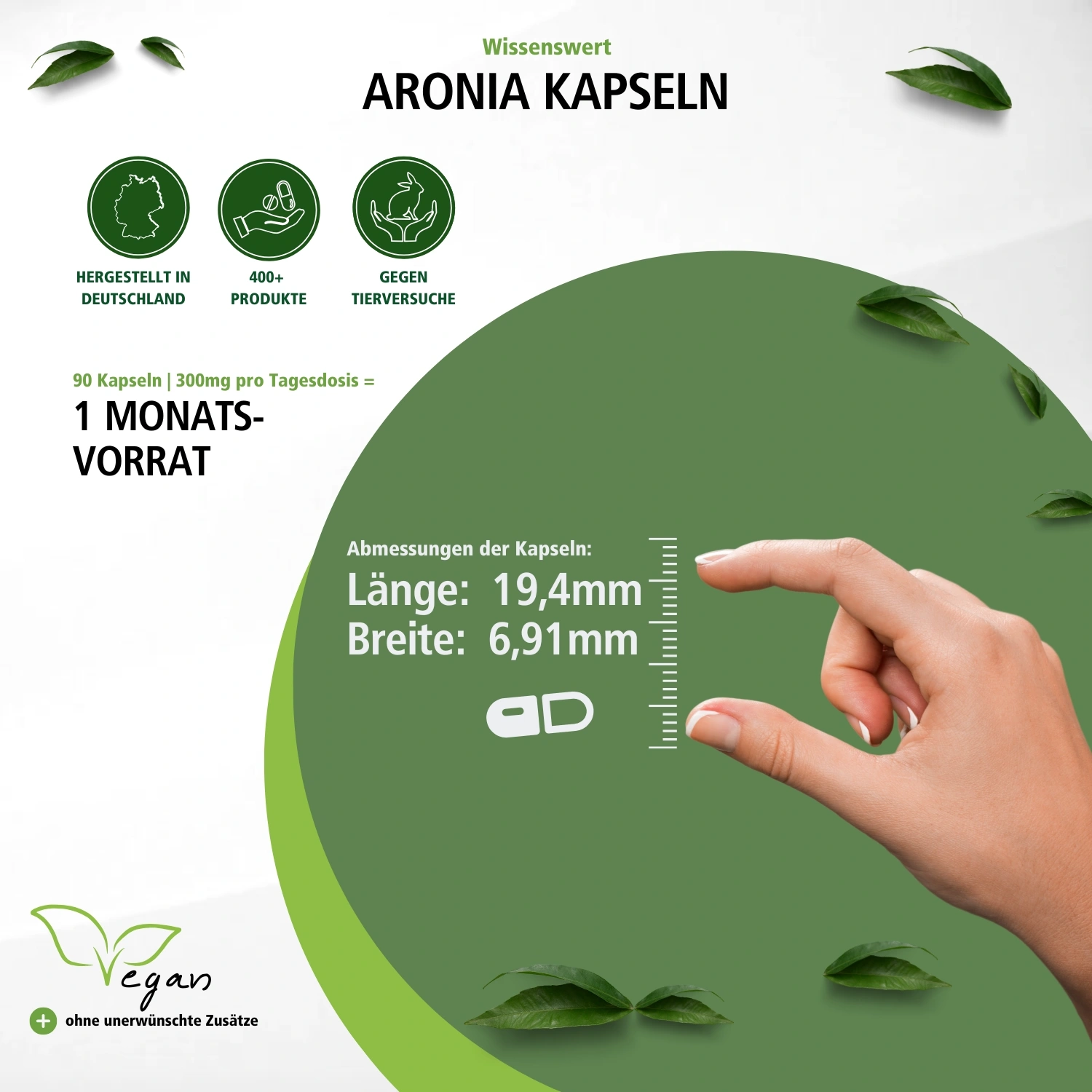 Aronia capsules met anthocyanen - 90 capsules