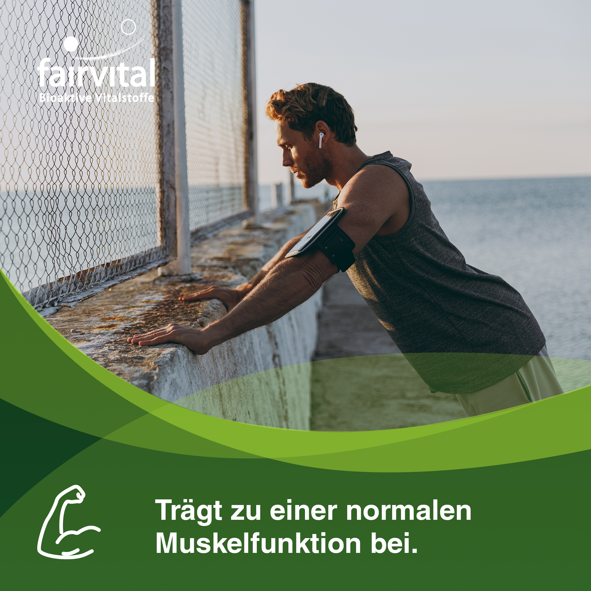 Magnesium Malat Pulver - 500gr - für Musklen, Knochen, Elektrolytgleichgewicht uvm. | Fairvital Magnesium Malat Pulver - 500gr - für Musklen, Knochen, Elektrolytgleichgewicht uvm. | Fairvital