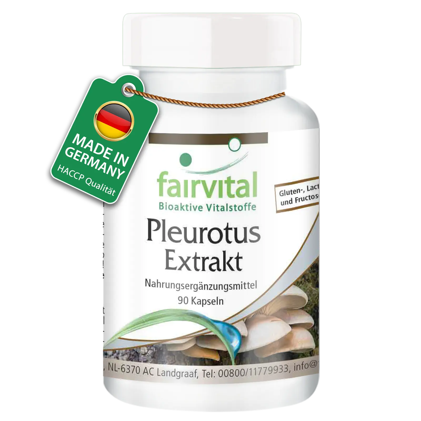 Pleurotus extract - 90 capsules Pleurotus extract - 90 capsules