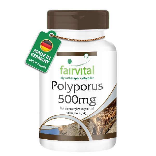 Polyporus - de zuivere paddenstoel 500mg - 90 capsules Polyporus - de zuivere paddenstoel 500mg - 90 capsules