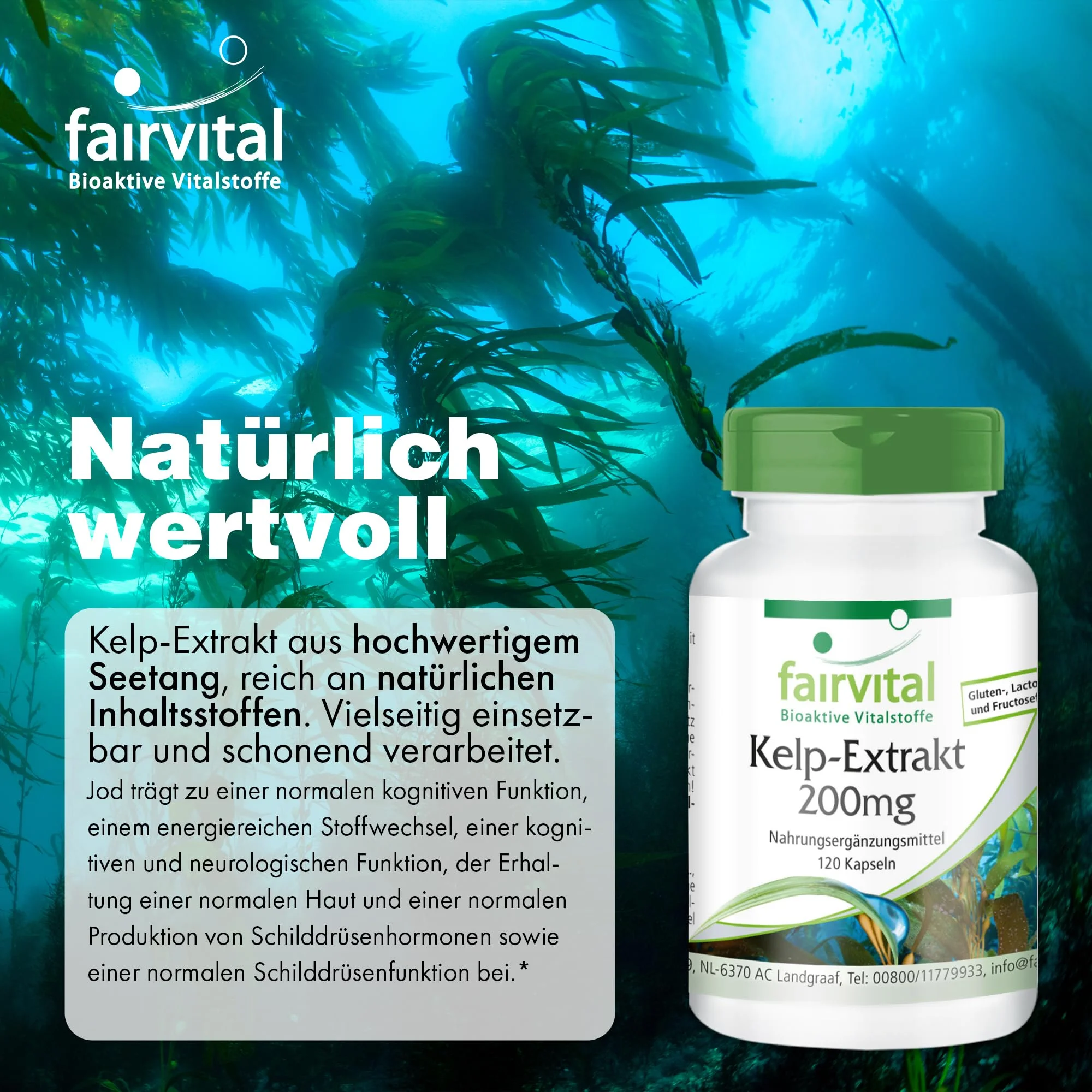 Estratto di Kelp 200mg - 120 capsule