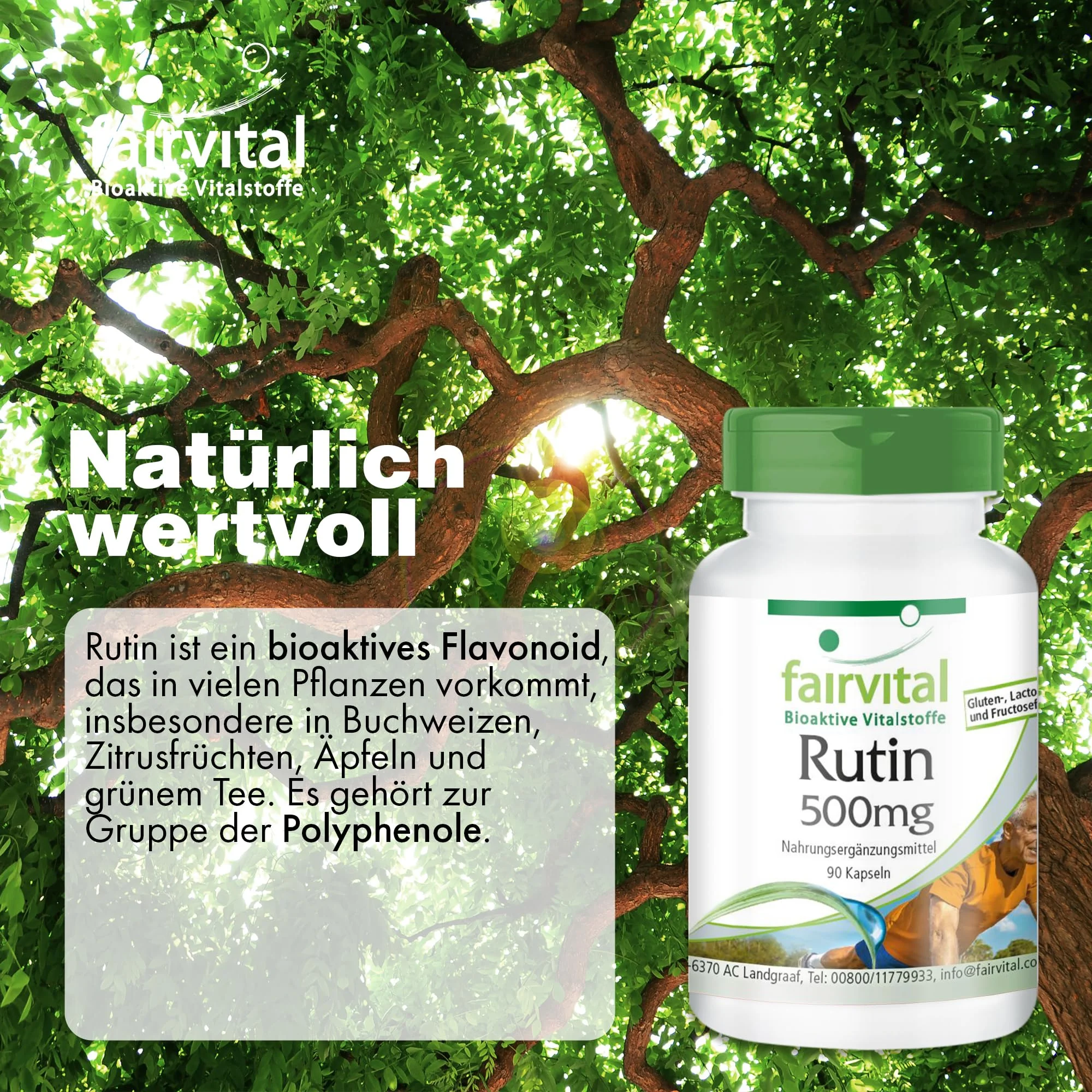 Rutine 500mg - vitamine P - 90 capsules