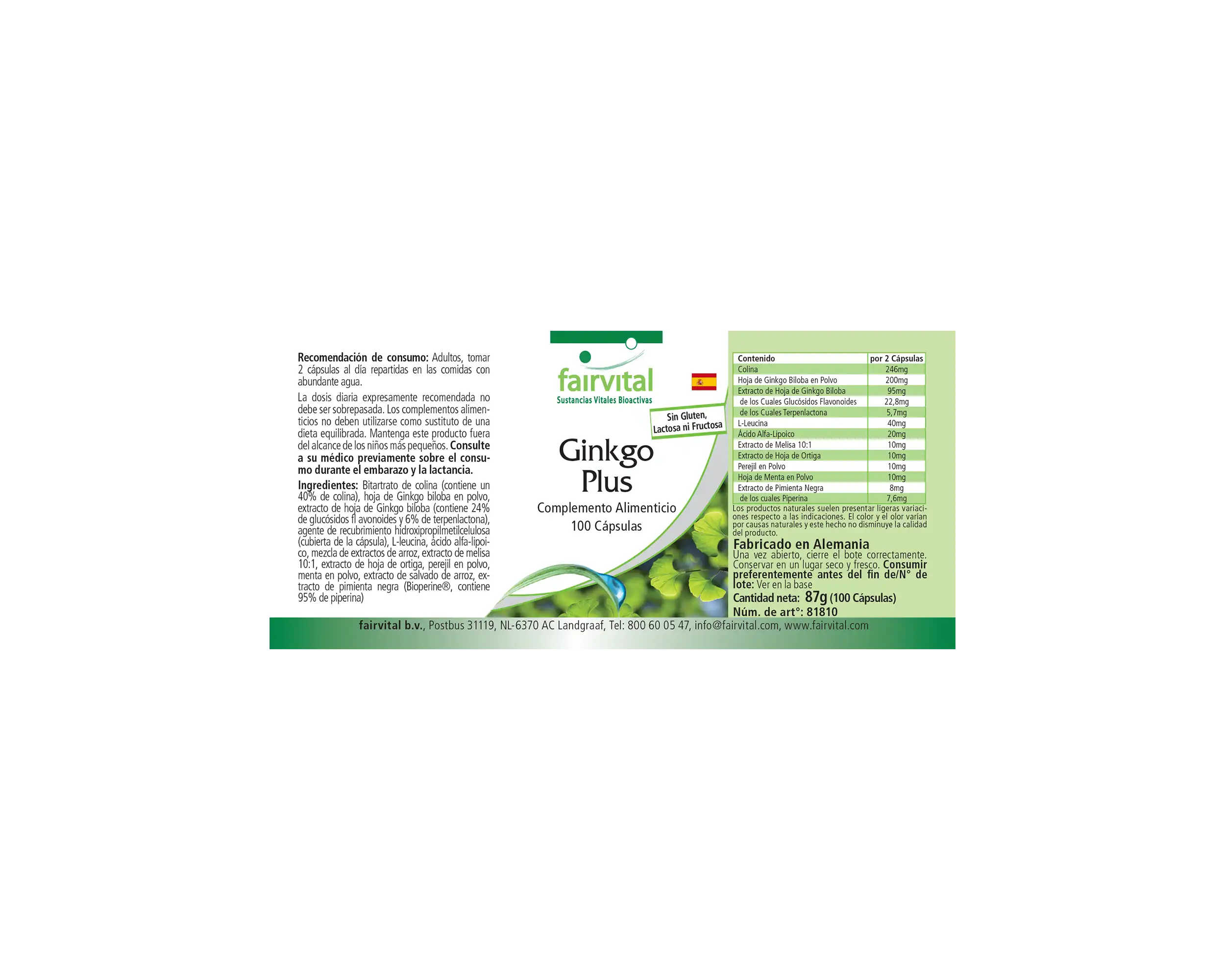 Ginkgo Plus - 100 Cápsulas
