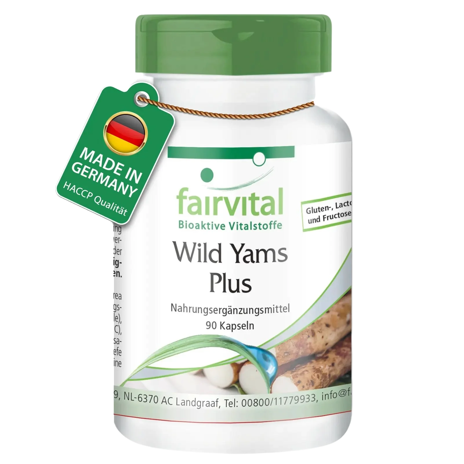 Wild Yams Plus - 90 Capsules