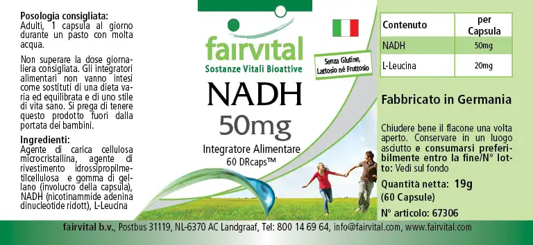 NADH 50mg - 60 Capsules - Vertraagde afgifte NADH 50mg - 60 Capsules - Vertraagde afgifte