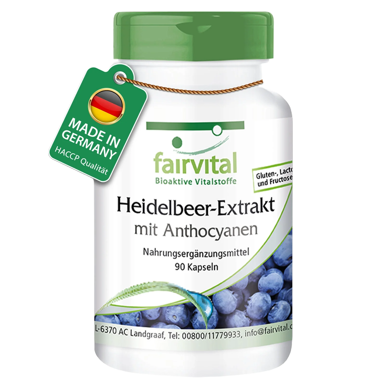 Bilberry extract with anthocyanins - 90 capsules