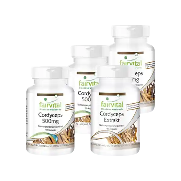 Cordyceps supply for 3 months - 4 x 90 capsules
