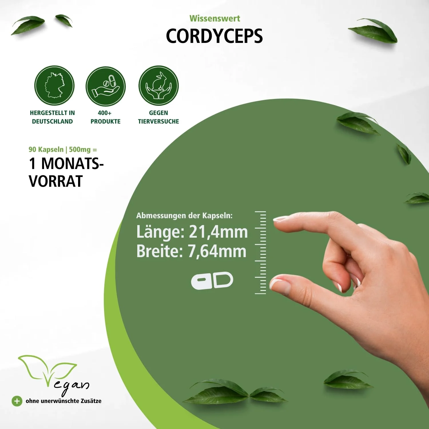 Cordyceps 500mg - 90 cápsulas