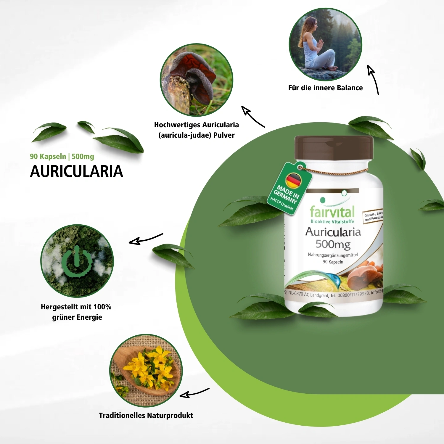 Auricularia 500mg - 90 Cápsulas