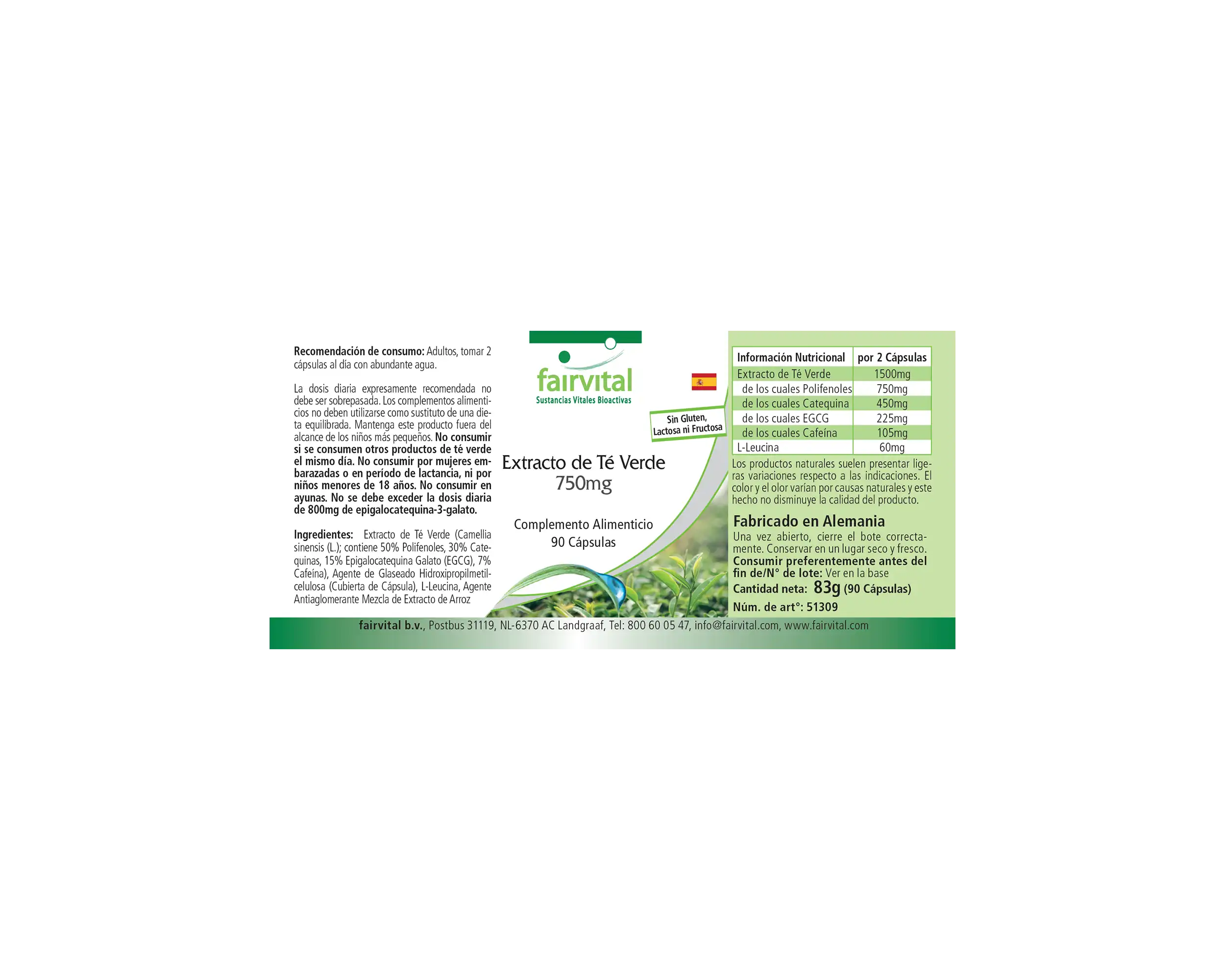 Grüner Tee Extrakt 750mg - Camellia Sinensis - 90 Kapseln - Hochdosiert und Vegan | Fairvital Grüner Tee Extrakt 750mg - Camellia Sinensis - 90 Kapseln - Hochdosiert und Vegan | Fairvital