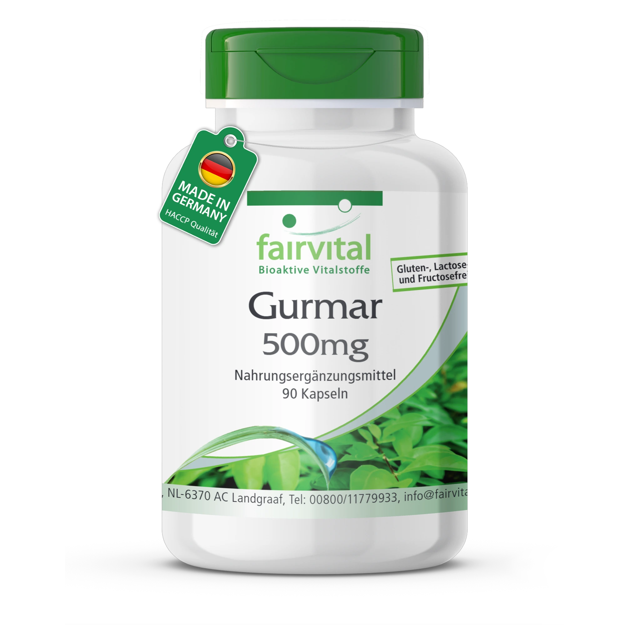 Gurmar 500mg – Gymnema Sylvestre – 90 Capsule – Vegano | Fairvital