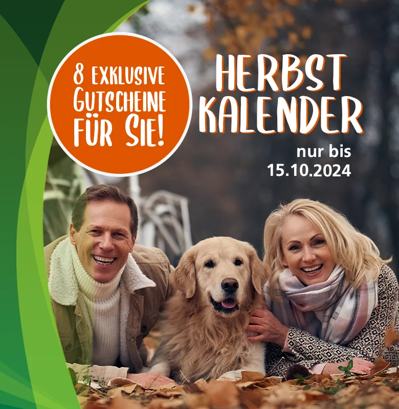 mobile-de-herbstkalender-fairvital-2024