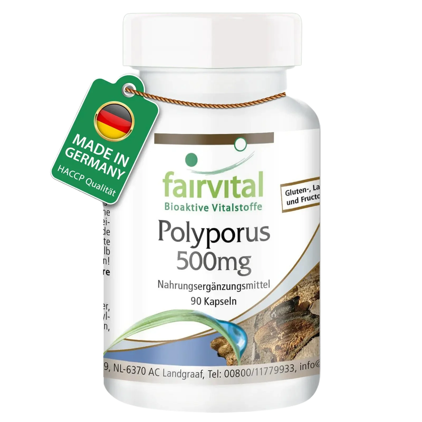 Polyporus Extract 500mg - 90 Capsules