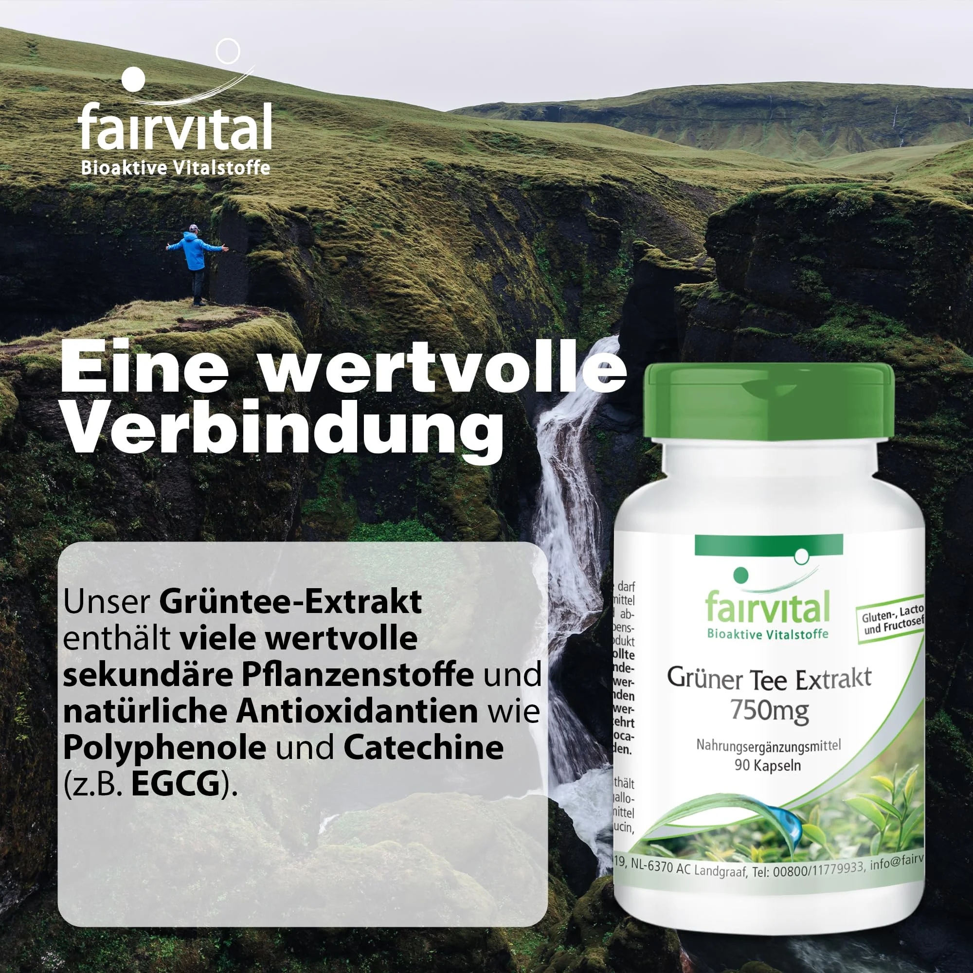 Groene koffie-extract 500mg - 90 capsules