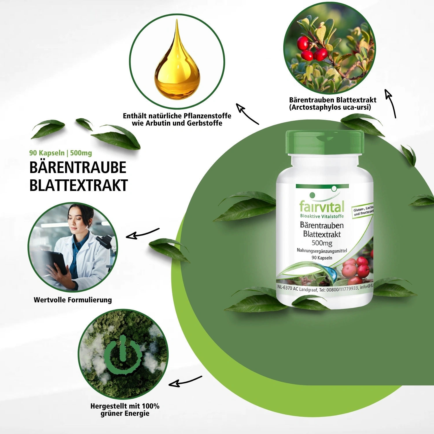 Bärentrauben Blattextrakt 500mg - mit 20% Arbutin - 90 Kapseln - Schluckfreundlich - Hochdosiert und Vegan | Fairvital