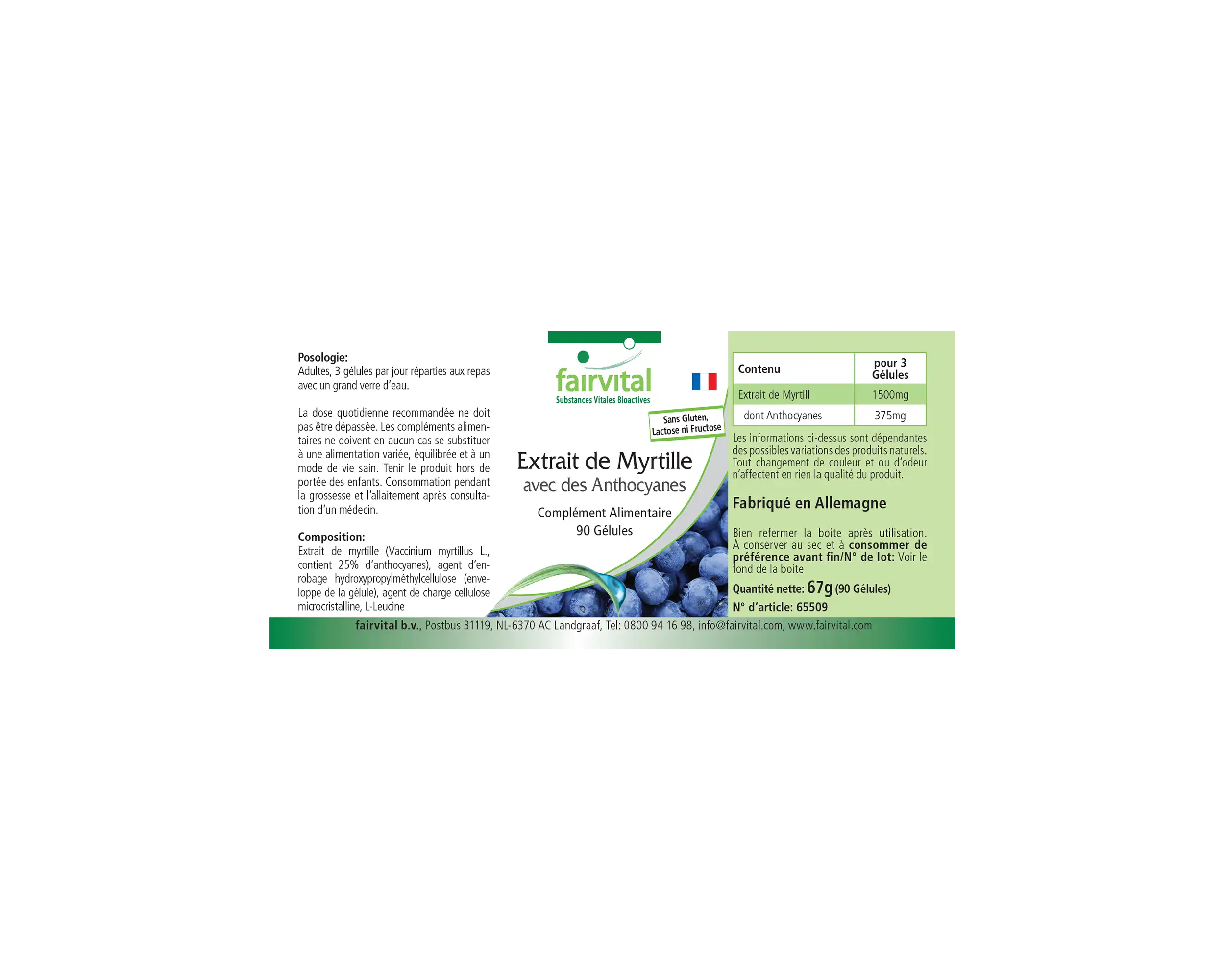 Heidelbeer-Extrakt mit Anthocyanen - 90 Kapseln - 25% Anthocyane - Hochdosiert und Vegan | Fairvital