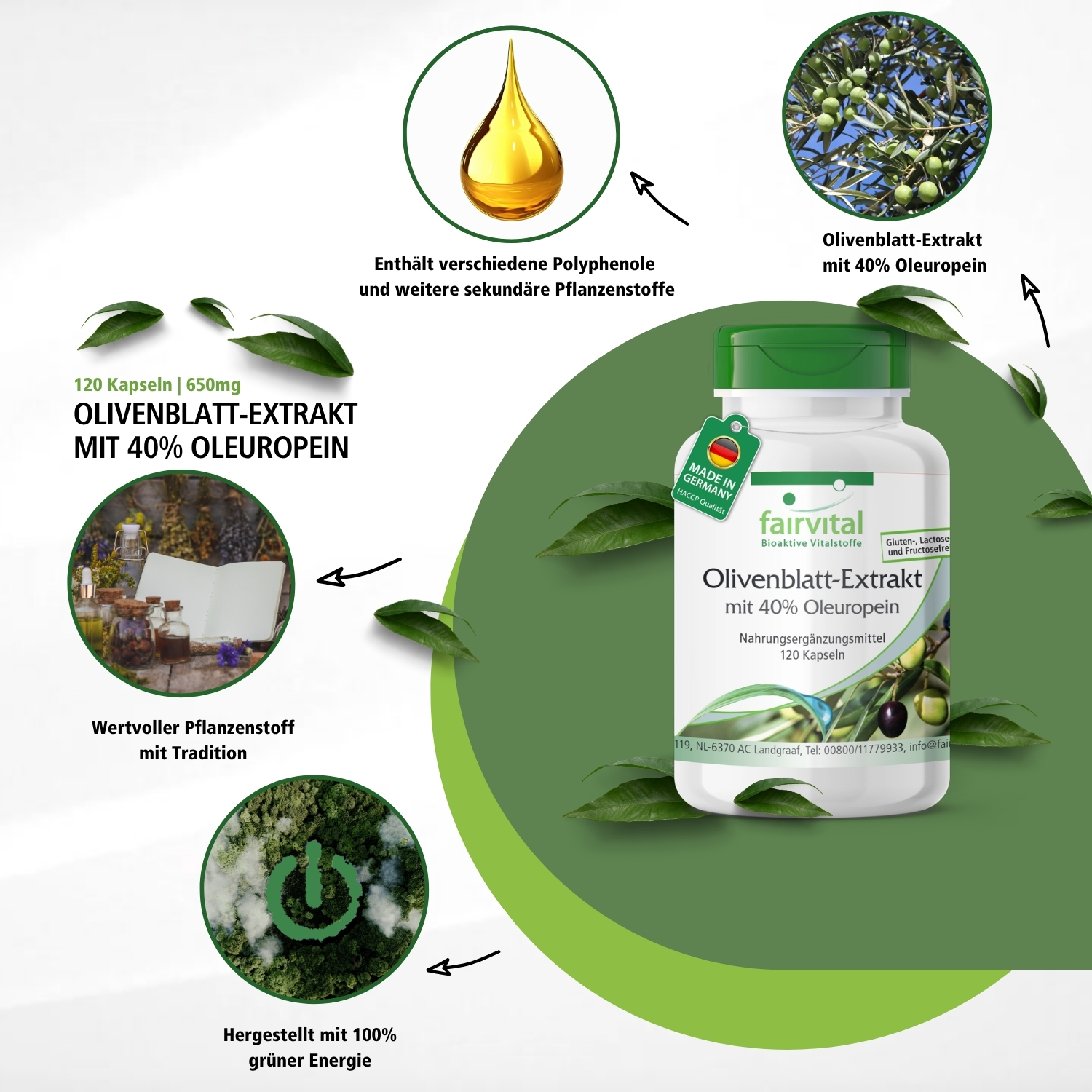 Extracto de hoja de olivo con 40% de oleuropeína - 120 cápsulas - vegano | Fairvital