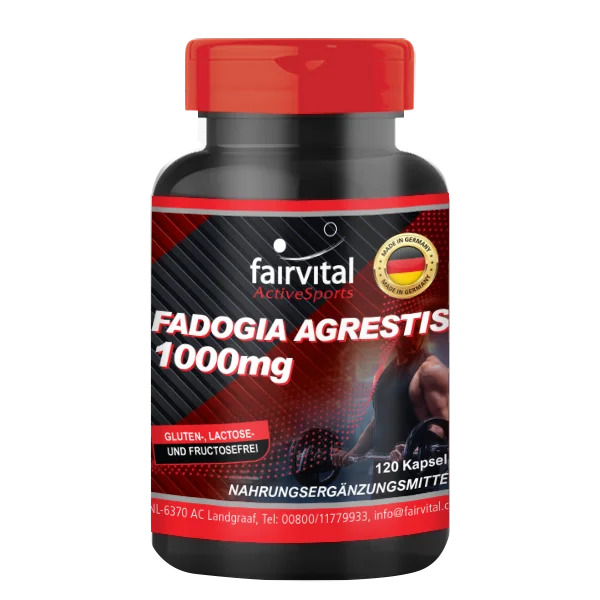 Fadogia Agrestis 1000mg - 120 Kapseln - für den aktiven Mann - Active Sports - Hochdosiert und Vegan | Fairvital Fadogia Agrestis 1000mg - 120 Kapseln - für den aktiven Mann - Active Sports - Hochdosiert und Vegan | Fairvital