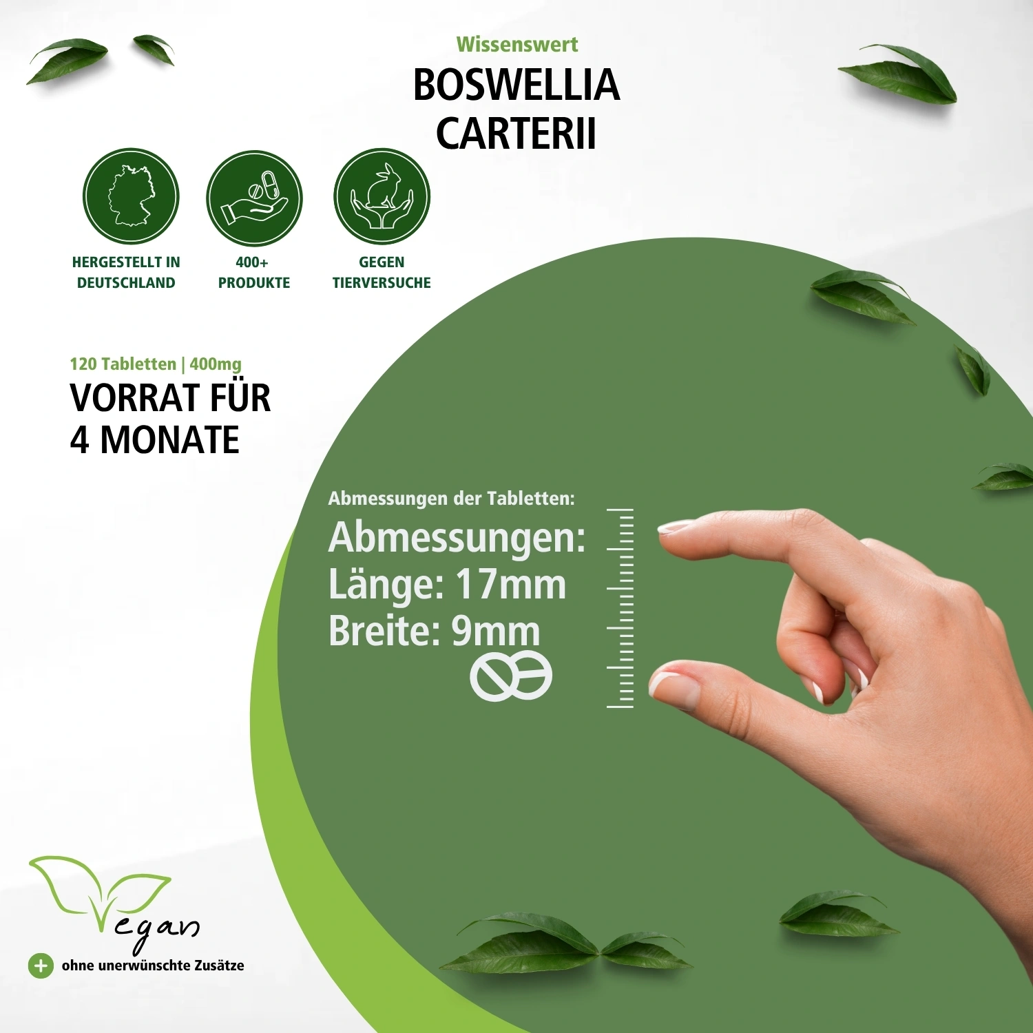 Boswellia Carterii 400mg