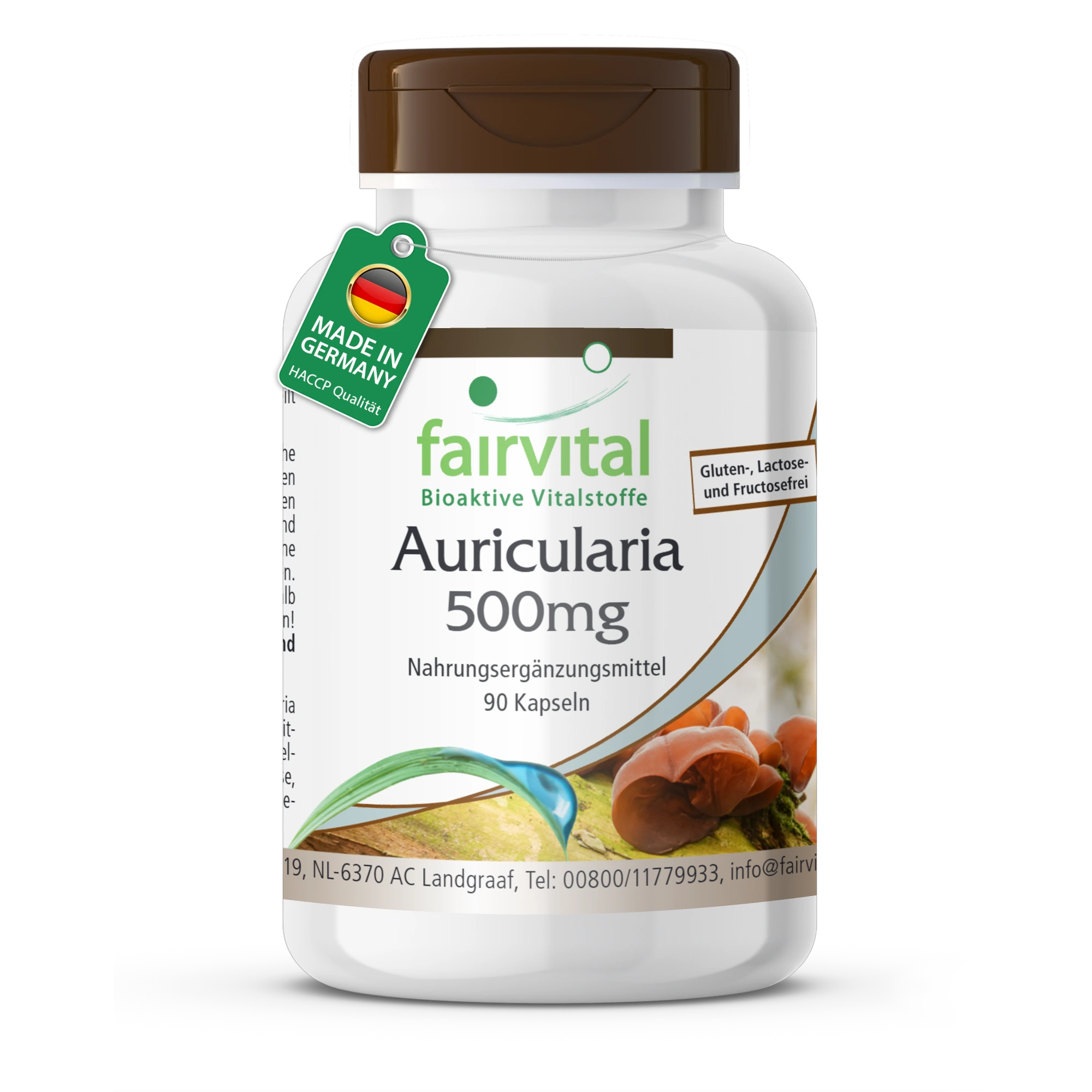 Auricularia 500mg - 90 Cápsulas