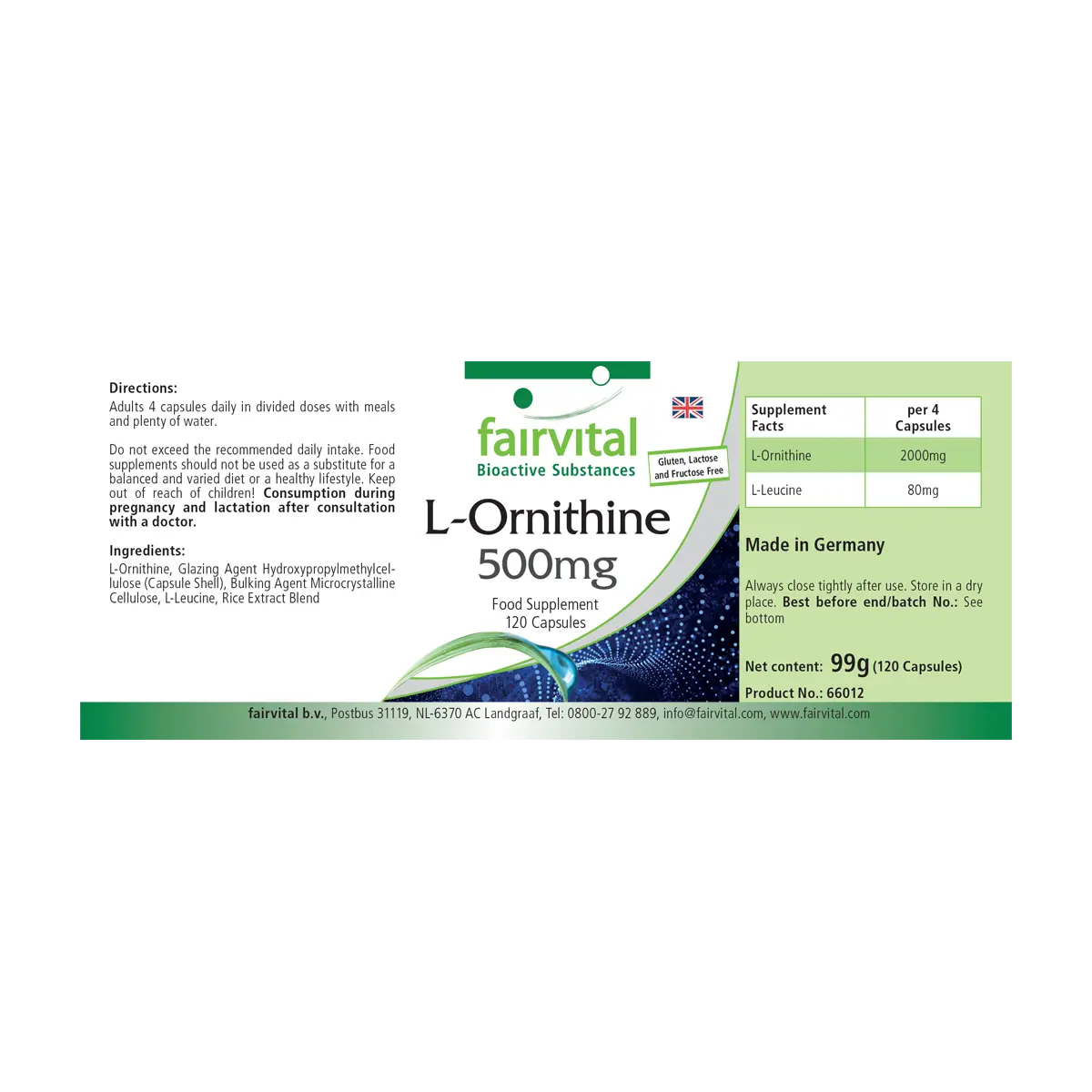L-Ornithin 500mg  - 120 Kapseln - Hochdosiert und Vegan | Fairvital L-Ornithin 500mg  - 120 Kapseln - Hochdosiert und Vegan | Fairvital