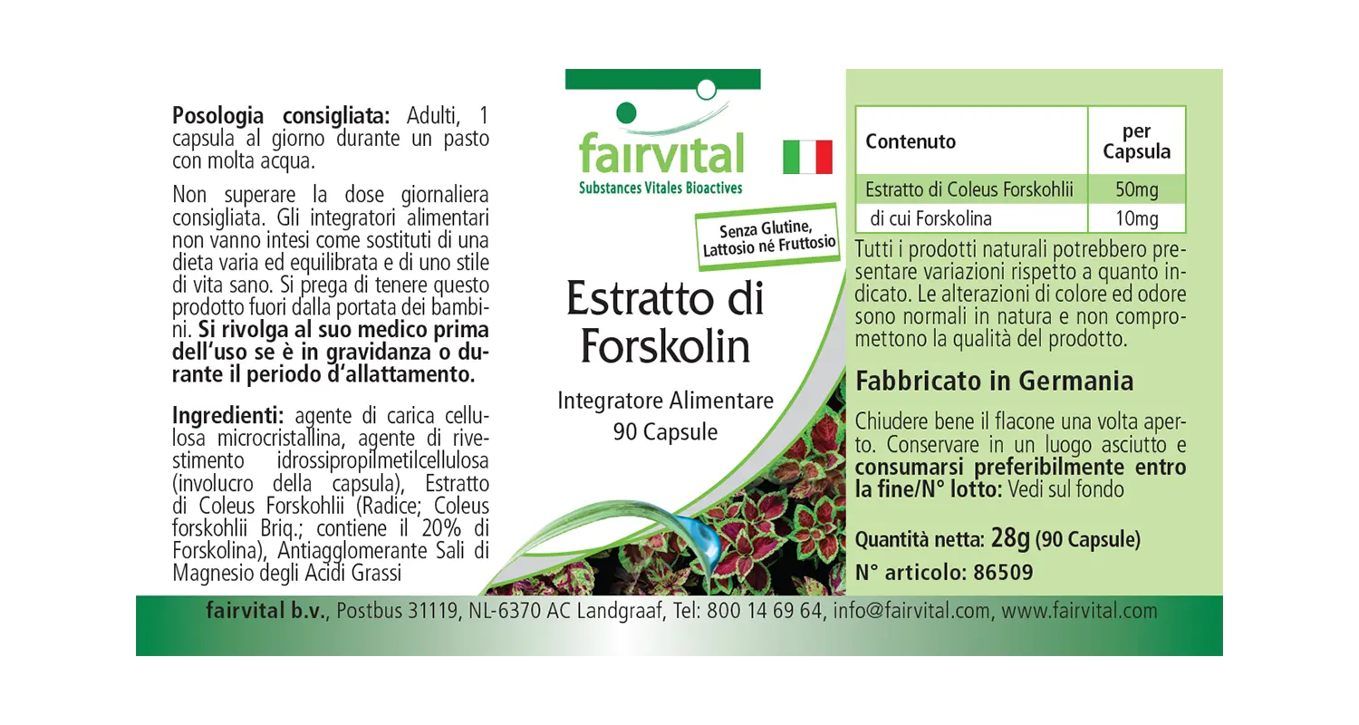 Forskolin Extrakt - 90 Kapseln - aus Coleus Forskohlii Extrakt - Hochdosiert und Vegan | Fairvital Forskolin Extrakt - 90 Kapseln - aus Coleus Forskohlii Extrakt - Hochdosiert und Vegan | Fairvital