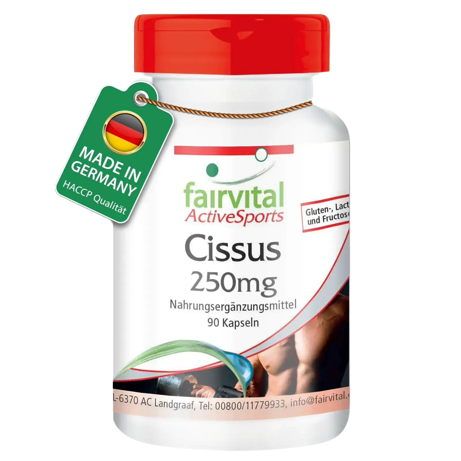 Cissus 250mg